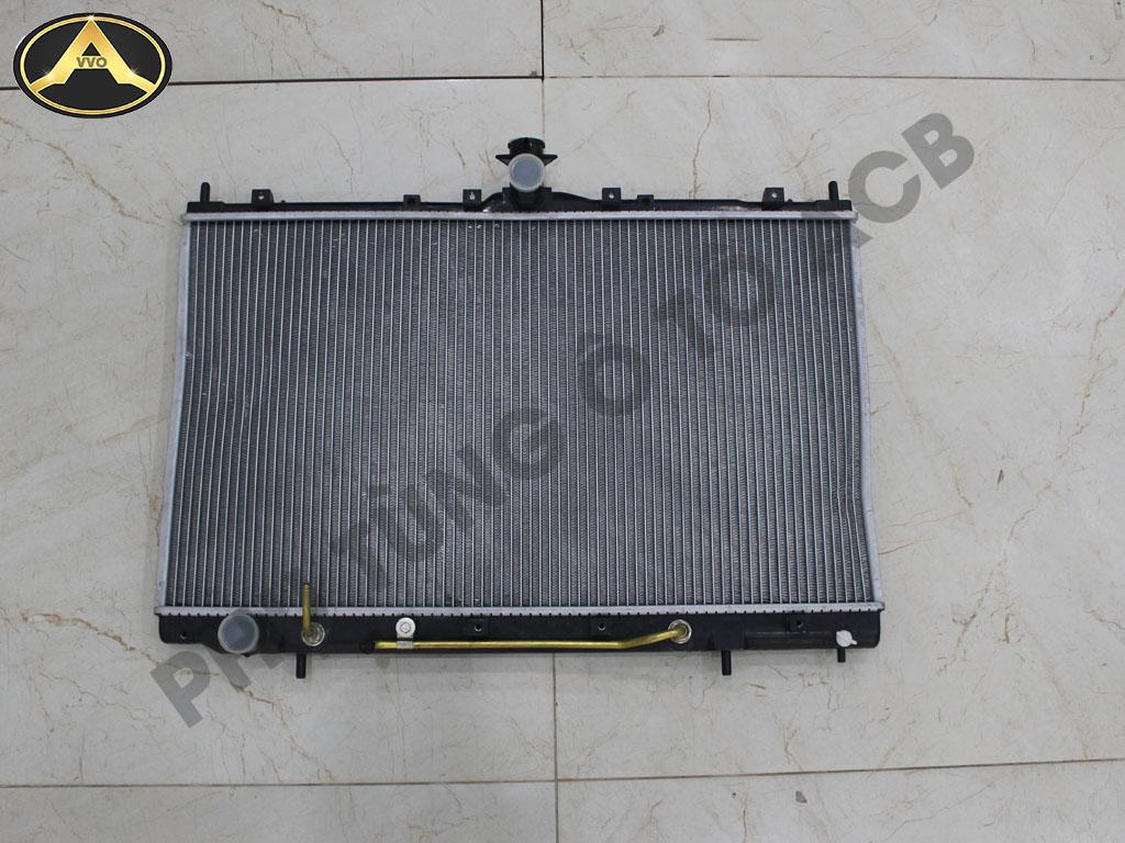 Két nước Mitsubishi Grandis NA4W